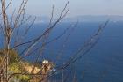 thumbs-salerno/Napoli 029.jpg.jpg